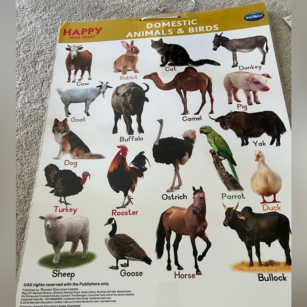 Domestic animals & birds poster